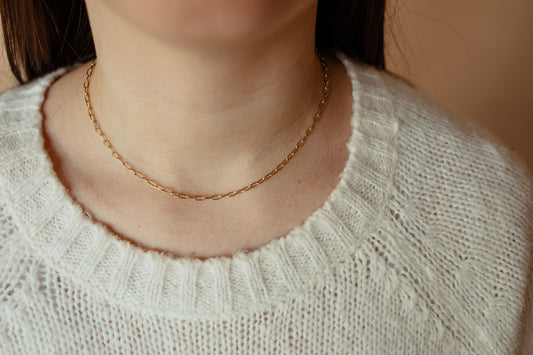 Paperclip Necklace